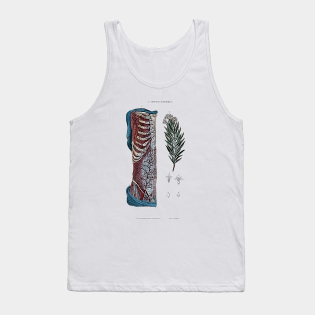 19th Century Botany and Anatomy colored engraving Tank Top by Amaranthus Designs